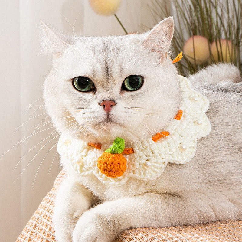 Pet Knitted Collar