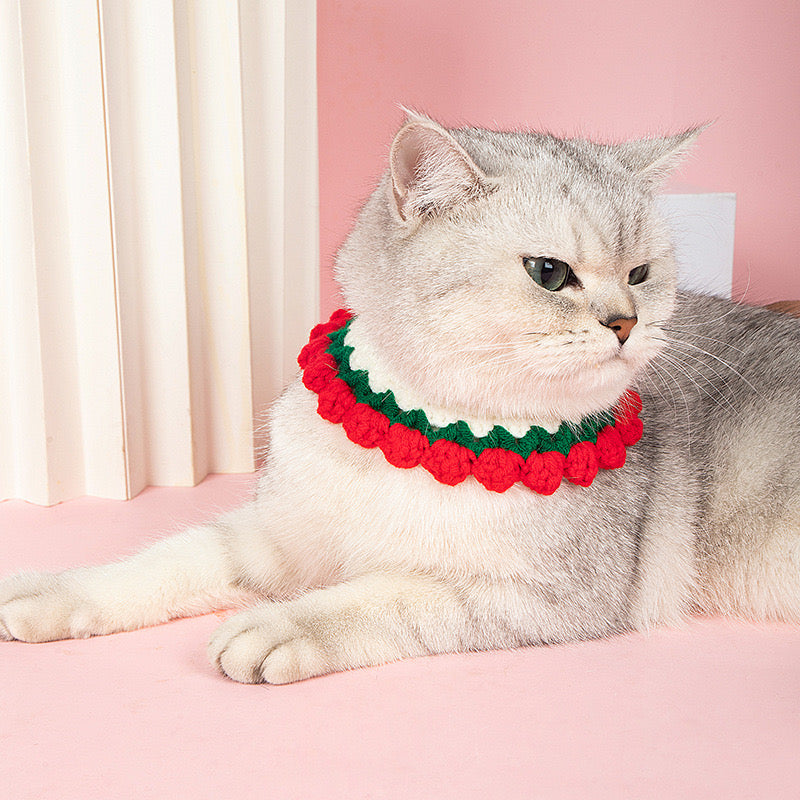 Pet Knitted Collar