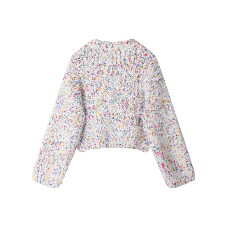 multicolored knit sweater(2 color option)